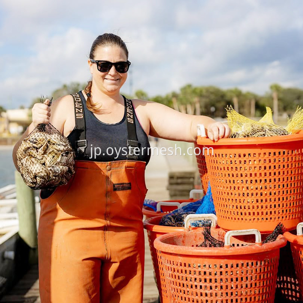 Oyster Turnover Basket (3)